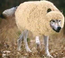 Sheep or Wolves?