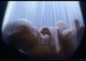 The magnificence of the beginning of human life