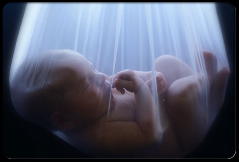 The magnificence of the beginning of human life