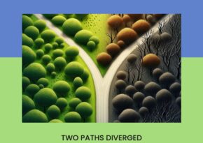 Two paths diverged